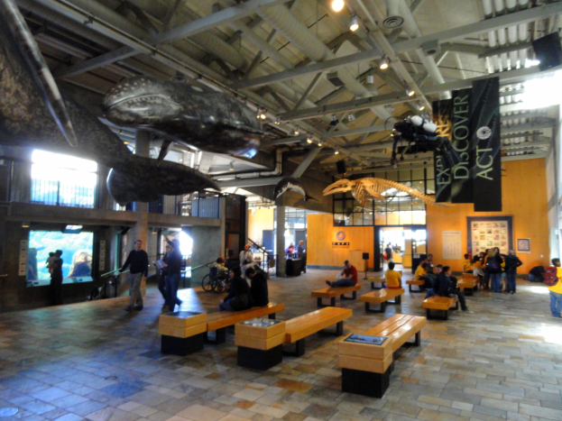 Ein geräumiger Raum mit zahlreichen Menschen auf Bänken sitzend und stehend, von der Decke hängende Banner mit Text, Überkopfbeleuchtung, ein Display auf der linken Seite und verschiedene Objekte im Hintergrund, die auf eine Museumsatmosphäre hindeuten.