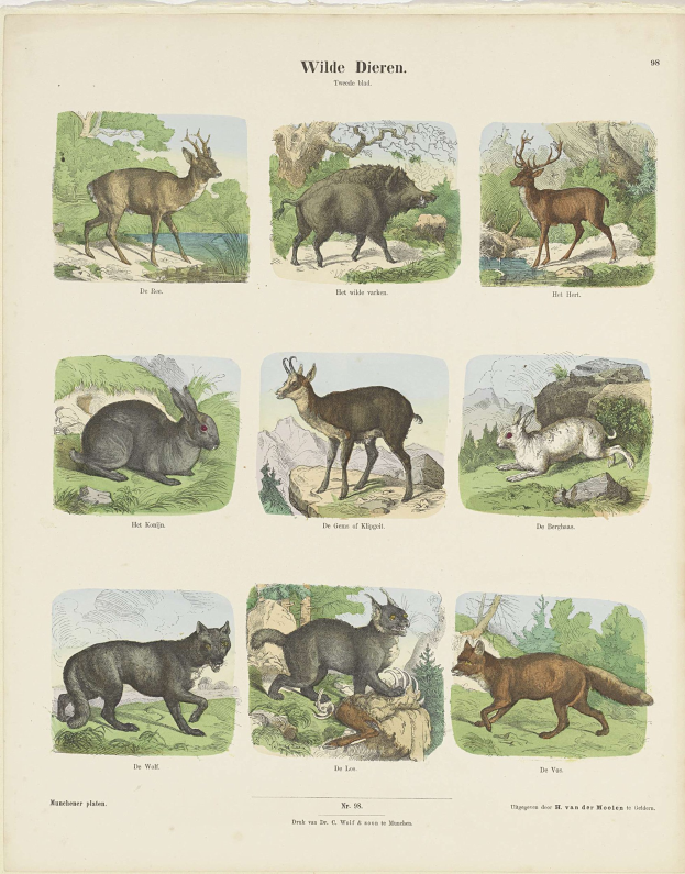 Buchumschlag mit Illustrationen von einem Reh, Kaninchen und anderen Wildtieren, mit Text auf dem Papier.
