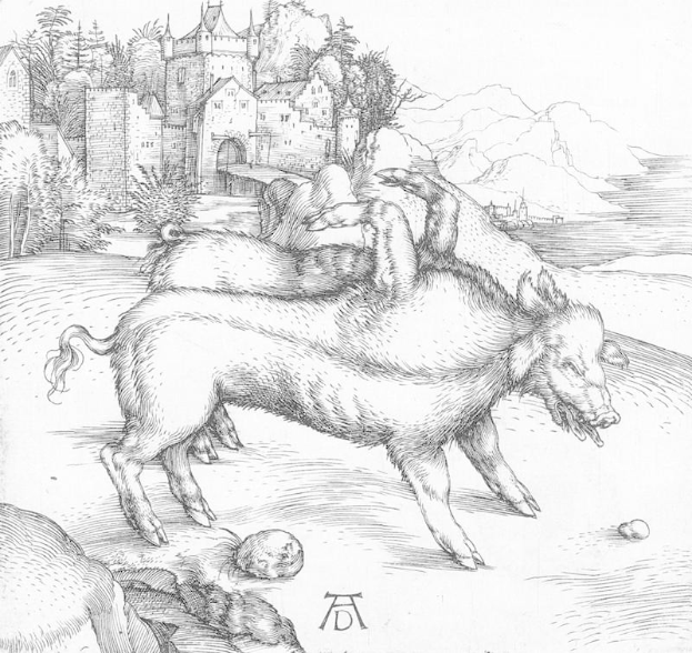 Eine Schwarz-Weiß-Zeichnung von zwei Schweinen in einer Landschaft mit einem Schloss, Bäumen, Hügeln und einem Gewässer im Hintergrund, betitelt mit 'Albrecht Dürer - Die drei Eber'.