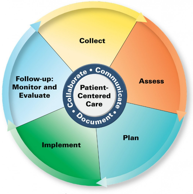 Ein Kreisdiagramm mit der Überschrift "patientenorientierte Pflege" und vier farbigen Abschnitten, jeweils mit einer spezifischen Pflegeart beschriftet.
