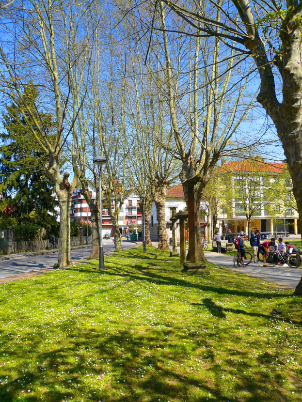 Ein Park mit grünem Gras und Bäumen, Menschen, die spazieren gehen und Fahrrad fahren, mit Gebäuden und einem klaren blauen Himmel im Hintergrund.