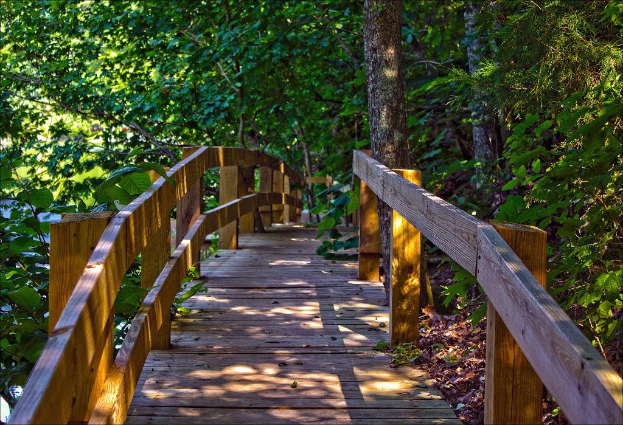 Eine hölzerne Gartenschau-Brücke in der Mitte mit Bäumen im Hintergrund.