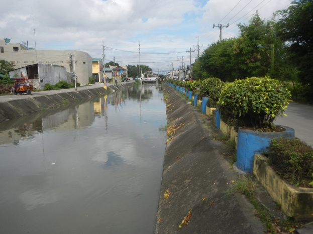 Flutstraße in der Stadt mit Wasser auf der Straße, Fahrzeugen auf der linken Seite, Vegetation auf der rechten Seite, Gebäuden und Strommasten im Hintergrund und bewölktem Himmel oben.