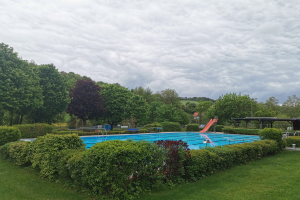 Großer rechteckiger Swimmingpool in einer grünen Wiese umgeben von Bäumen, Pflanzen, Pfählen, einer Hütte und einem bewölkten Himmel.