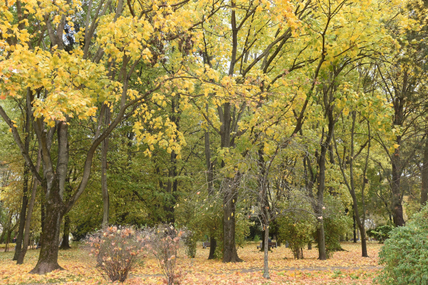 Herbstferien-Programm und Abschlussfest in Vogelheim