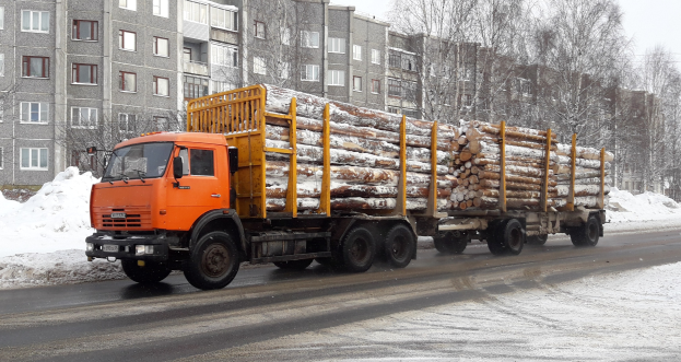 Ein Lastwagen mit Holz fährt auf einer schneebedeckten Straße mit Bäumen und Gebäuden im Hintergrund unter einem klaren Himmel.