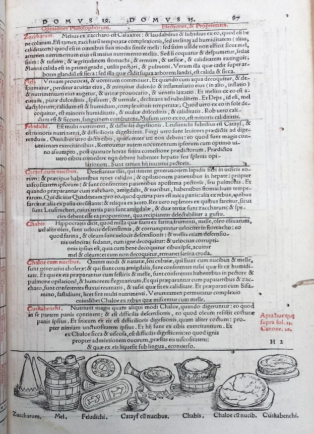 Offenes Buch mit detaillierten Illustrationen von Obst, Gemüse und Getreide neben mehrfarbigem, unterschiedlich geschriebener Text.