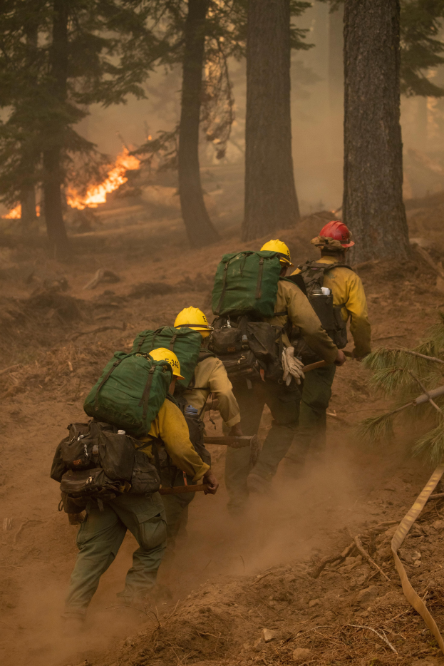 Eine Gruppe von Feuerwehrmönnen in Helmen und Rürcksücken wandern durch einen Wald, mit einem Feuer in der Ferne.