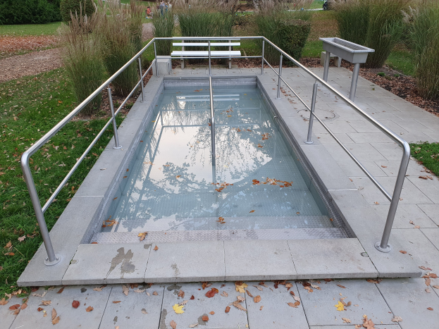 Ein kleiner Swimmingpool mit einem Metallgeländer, umgeben von grünem Gras und trockenen Blättern, mit Pflanzen, Bäumen und einem Gebäude im Hintergrund.