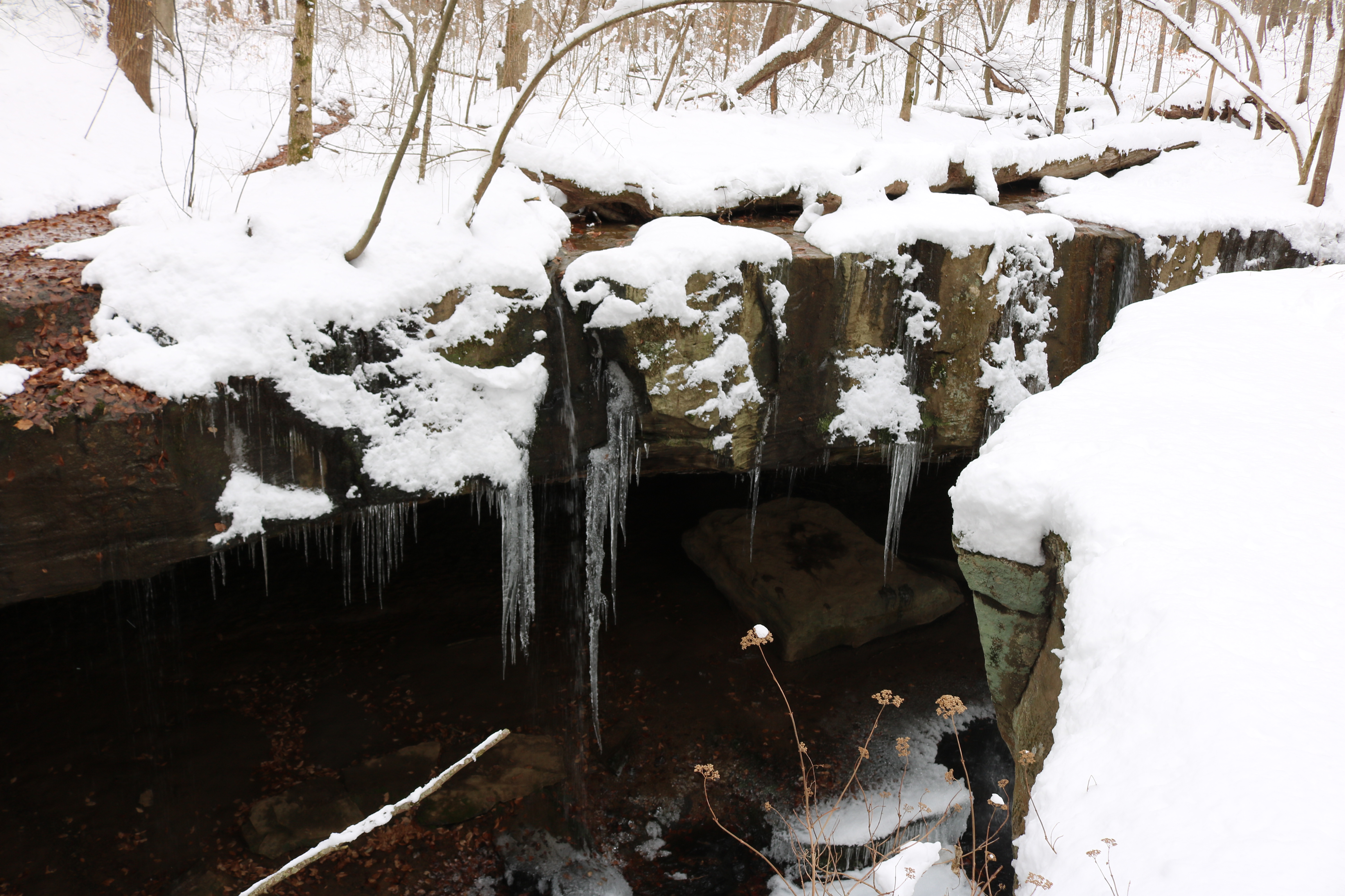 Ein kleiner Wasserfall in einem schneebedeckten Wald, mit Eiszapfen an den Felsen und schneebedeckten Bäumen im Hintergrund.