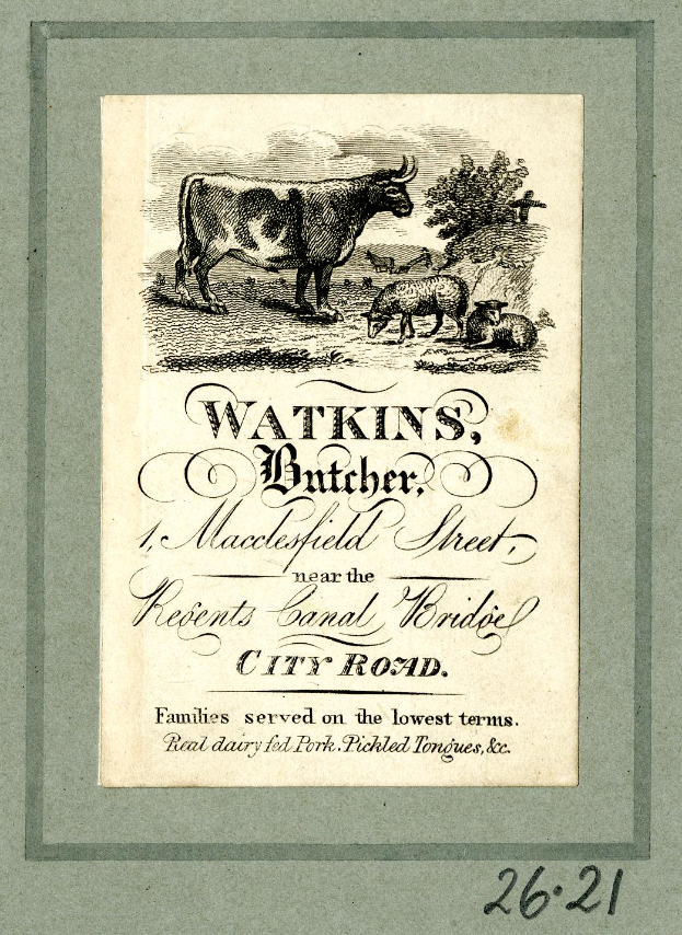 Ein altes Buchcover mit einer Rind, die in einer grünen Wiese mit Bäumen im Hintergrund steht, umgeben von Schafen, die neugierig zu ihr aufschauen, und dem Text "Watkins, Metzger, Macclesfield Street".
