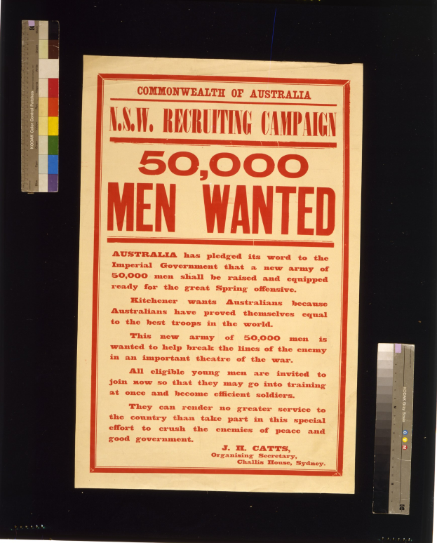 Plakat mit schwarzem Text, der "N.S.W. Recruiting Campaign 50,000 Men Wanted" auf einem weißen Hintergrund zeigt, in einem schwarzen Rahmen.