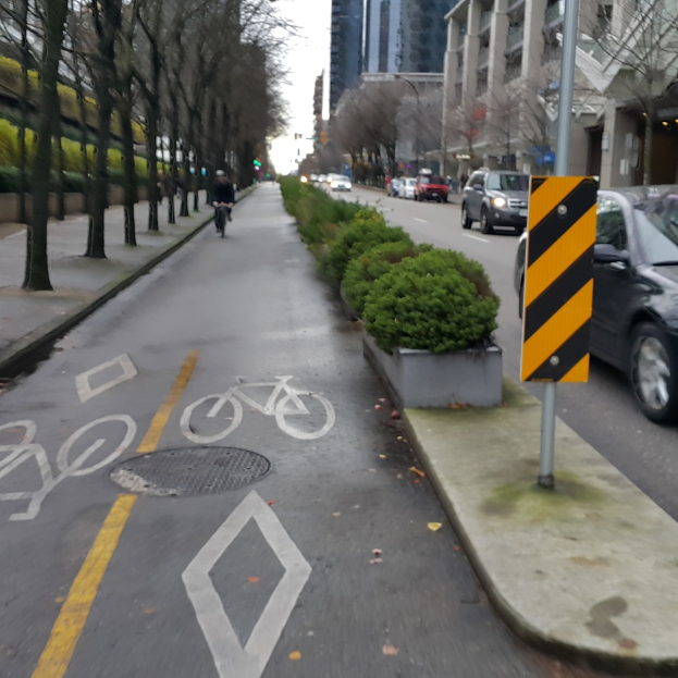 Eine Person fährt mit dem Fahrrad auf einer Straße mit Autos rechts, kleinen Pflanzen in der Mitte, Bäumen links und Gebäuden weiter rechts.