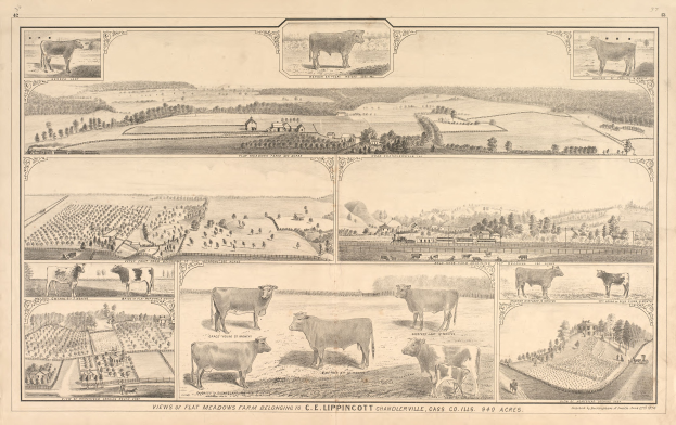 Ein Blatt Papier mit Bildern von Kühen, Bäumen, Häusern, Feldern und anderen Gegenständen und Text unten lesbar "Ansichten von Flat Meadows Farm gehörend zu C.E. Lippincott Chandlerville, Mass."