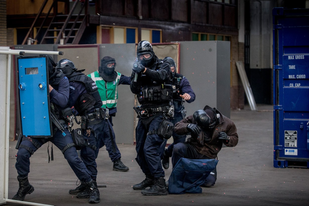 Polizeibeamte in Einsatzausrüstung stehen in einer Reihe, einige halten Waffen, neben einem Gebäude mit einer Person am Boden im Vordergrund.