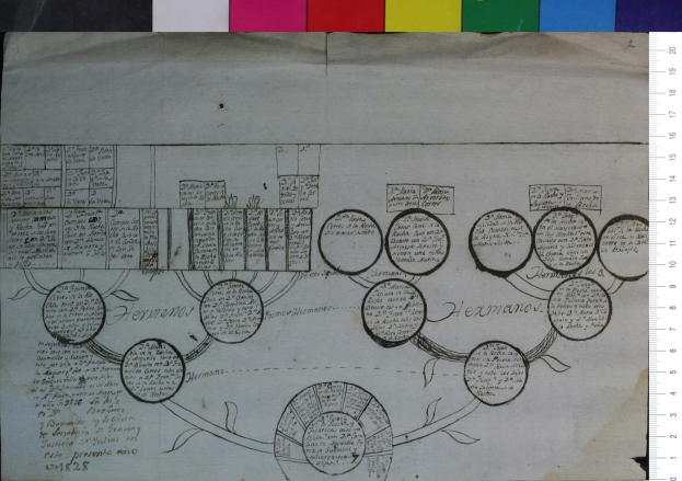 Ein Blatt Papier zeigt eine Familienbaum-Darstellung mit Zweigen und Blättern, die Familienmitglieder darstellen, begleitet von Text und einer Skala mit Details wie Namen und Daten.