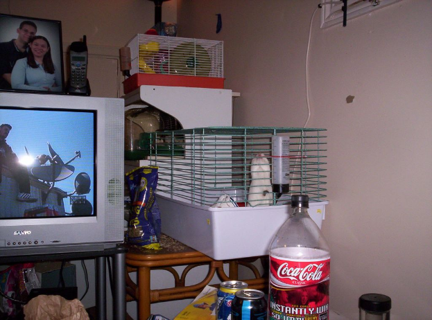 Ein Fernseher mit Fotoeinfassungen und einem Handy auf einem Tisch mit einer Decke, einem Korb und einem Tablett mit verschiedenen Gegenständen, mit einer Flasche und Dosen davor und einer Wand im Hintergrund.