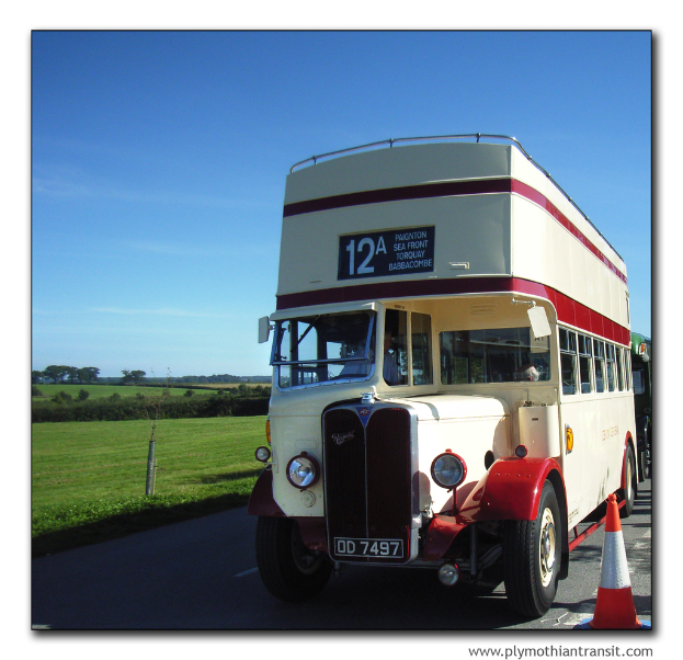 Eine Person in einem Fahrzeug auf einer Straße, mit Bäumen, Gras und Himmel links, einem Verkehrskegel und einem Wasserzeichen in der rechten unteren Ecke.