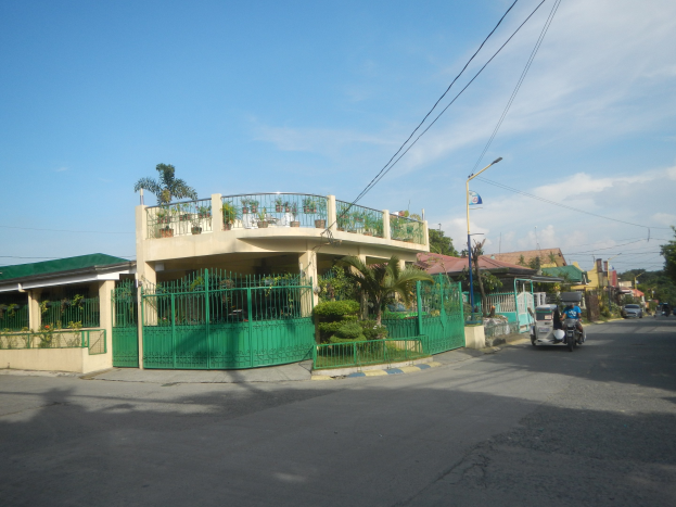 Eine Straße mit fahrenden Fahrzeugen, ein grünes Gebäude mit einem passenden Zaun, Geländern, Pflanzen, Bäumen, Strommasten mit Drähten und Lampen und eine Flagge, unter einem bewölkten Himmel.