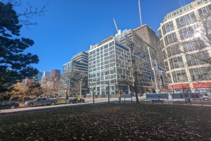 Eine belebte Stadtstraße in Toronto mit hohen Gebäuden, fahrenden Autos, Fußgängern auf dem Gehweg, Bäumen und verstreuten trockenen Blättern auf dem Boden.