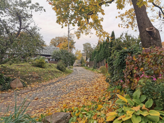 Ein von Bäumen und Sträuchern gesäumter Schotterweg im Herbst mit gelben, orangefarbenen und roten Blättern, der zu Gebäuden und Strommästen im Hintergrund führt.