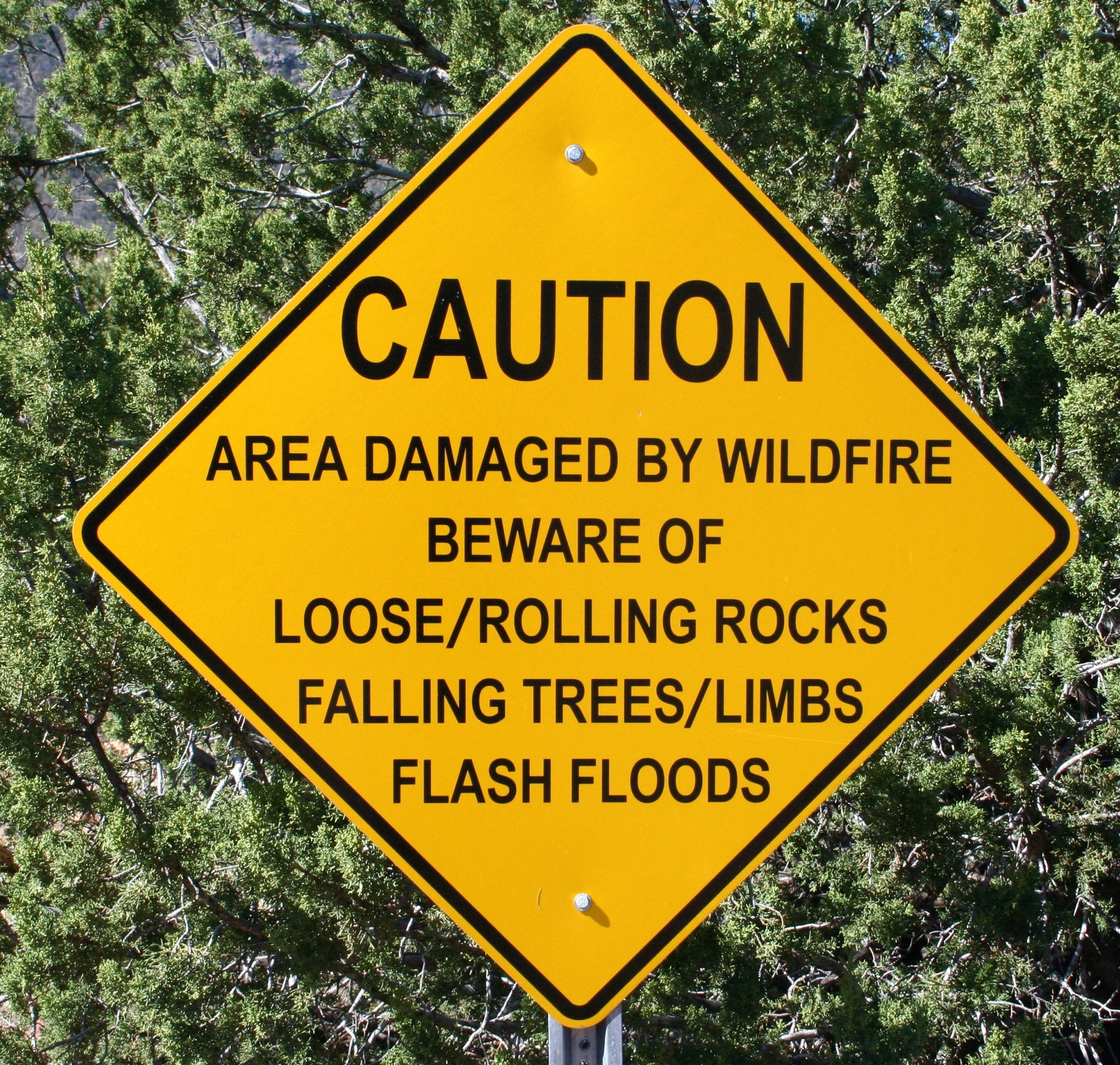Gelbes Warnschild an einem Pfosten im Vordergrund, das vor Schäden durch Wildfire, lockeren rollenden Steinen, umstürzenden Bäumen und -zweigen sowie Überschwemmungen warnt.