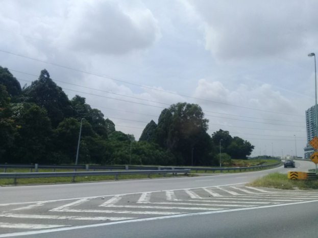 Auto fährt an einer Zebrastreifen-Kreuzung auf einer Straße mit Gras, Geländern, Laternen, Schildern, Bäumen, Gebäuden und einer bewölkten Himmel im Hintergrund.