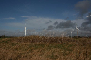 Ein Feld von Windturbinen auf einer grünen Wiese mit Bäumen im Hintergrund und Wolken am Himmel, wahrscheinlich ein Windpark in den Niederlanden.